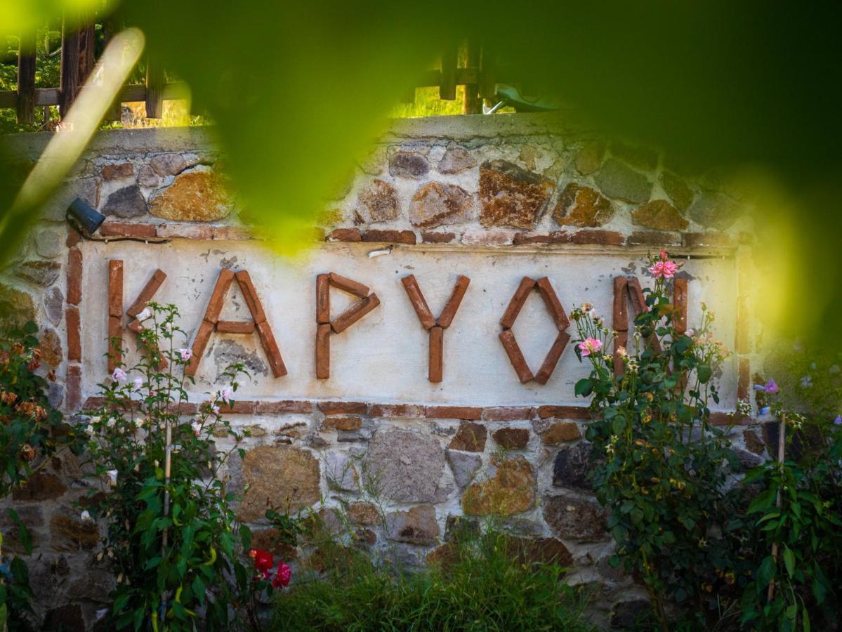 Karyon Apartments Kariófiton 外观 照片